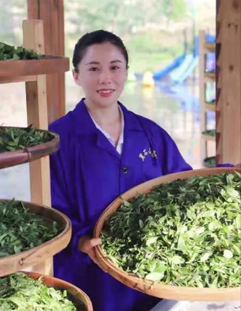 【梧州工匠】石濡菲：擇一茶，修一技，終一生