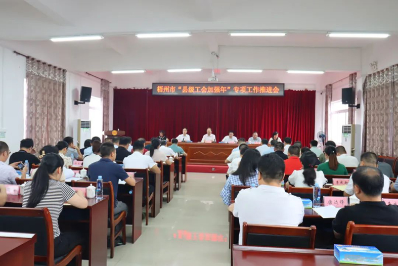 梧州市召開“縣級工會加強年”專項工作推進(jìn)會