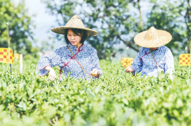國家批復同意，梧州籌建！