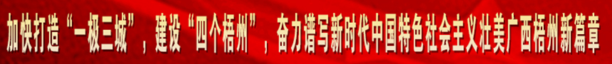 加快打造“一級(jí)三城市”，建設(shè)“四個(gè)梧州”，奮力譜寫(xiě)新時(shí)代中國(guó)特色社會(huì)主義壯美廣西梧州新篇章